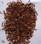 Rooibos