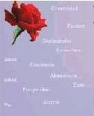 Frases de autoestima