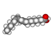 Importancia de los lípidos en la dieta
